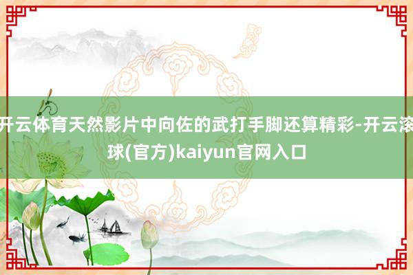 开云体育天然影片中向佐的武打手脚还算精彩-开云滚球(官方)kaiyun官网入口