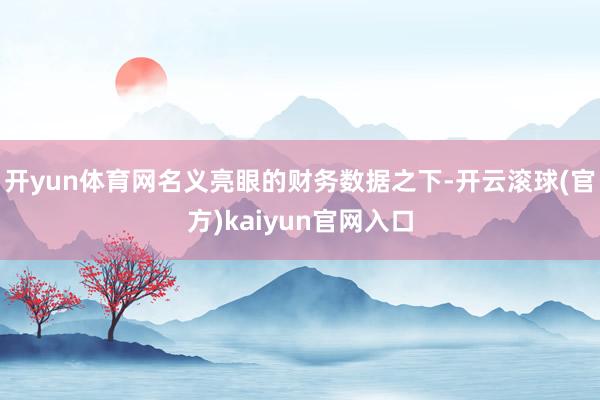 开yun体育网名义亮眼的财务数据之下-开云滚球(官方)kaiyun官网入口